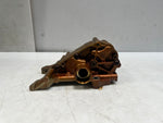 Bild in die Galerieansicht laden, 2011-2012 BMW X3 F25, 528i F10 and Z4 E89 3.0L Engine Oil Pump 7573748 OEM