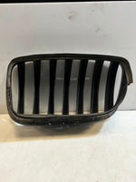 Load image into Gallery viewer, 2007-2010 BMW X5 E70 and 5 Series GT F07 Front Kidney Grille 7171396 OEM