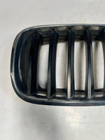 Load image into Gallery viewer, 2007-2013 BMW X5 E70 Front Bumper Kidney Grille 7171395 OEM