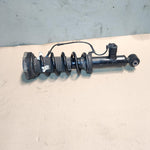 قم بتحميل الصورة إلى عارض الصور، 2018-2024 BMW X3 Rear Shock Absorber 6887152 X3 G01 and X4 G02 REAR RIGHT