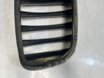 Load image into Gallery viewer, 2007-2013 BMW X5 E70 Front Bumper Kidney Grille 7171395 OEM