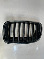 Load image into Gallery viewer, 2007-2013 BMW X5 E70 Front Bumper Kidney Grille 7171395 OEM