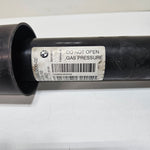 Bild in die Galerieansicht laden, OEM BMW 3 Series F30 Rear Shock Absorber 6883830 USED