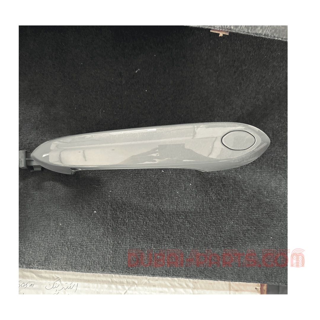 Türgriff graue Farbe G05