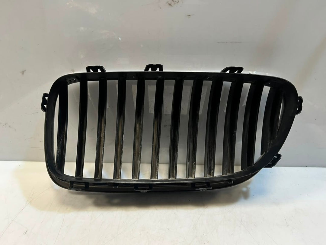 2012-2014 BMW M5 5 Series F10 F11 Front Bumper Upper Radiator Grille 7200728