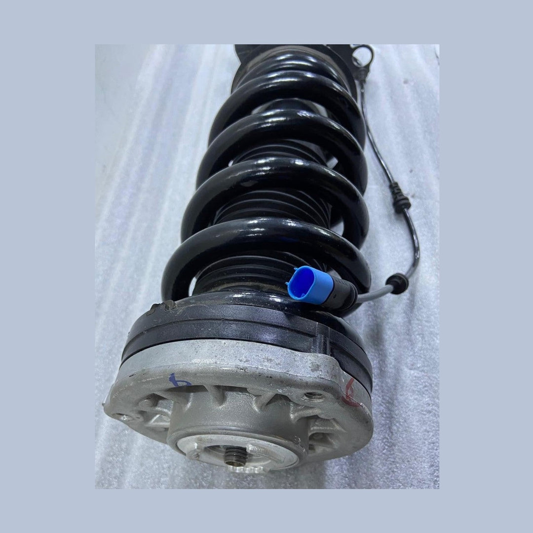 OEM BMW X5 G05 LCI X6 G06 LCI Spring Strut Front Left VDC 5A45211
