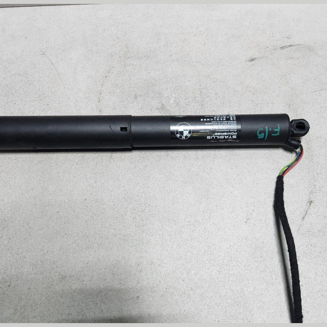 2013-2018 BMW X5 Tailgate Strut 4823279 X5 F15 F85