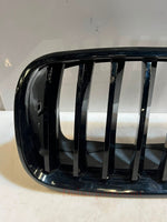 Load image into Gallery viewer, 2007-2013 BMW X5 E70 X6 E71 Front Bumper Kidney Grille 7171395 OEM