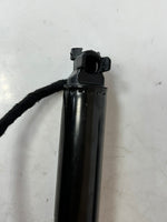 Load image into Gallery viewer, 2016-2019 BMW 740i 7 Series G11 G12 Tailgate Strut 7357110 OEM
