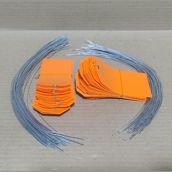 ACRYLIC TAG WITH METAL EYELET – THIN PLASTIC LABEL - IND/CRAFT ID TAG ORANGE