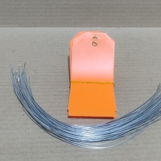 ACRYLIC TAG WITH METAL EYELET – THIN PLASTIC LABEL - IND/CRAFT ID TAG ORANGE