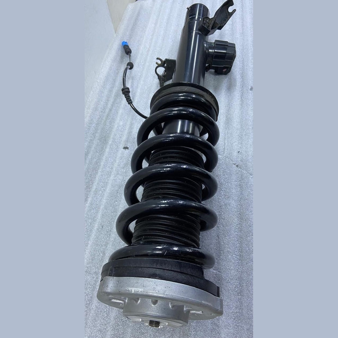OEM BMW X5 G05 LCI X6 G06 LCI Spring Strut Front Right VDC 5A45212