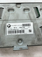 Load image into Gallery viewer, 2007-2013 BMW X5 E70 HIFI AUDIO Sound Amplifier CONTROL UNIT 9247103 OEM