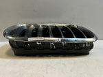 Load image into Gallery viewer, 2007-2010 BMW X5 E70 and 5 Series GT F07 Front Kidney Grille 7171396 OEM