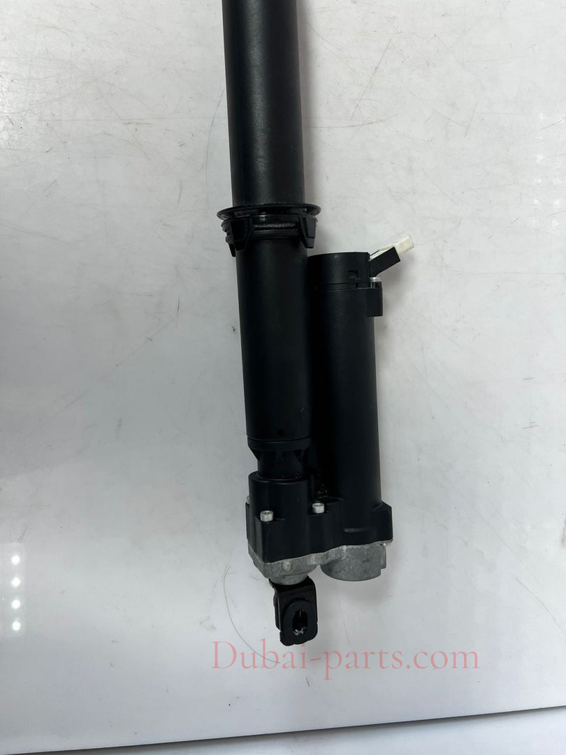 2016-2017 BMW 320i 428i, 430i, 435i, 440i F36 Tailgate Lift Strut 2586402 OEM