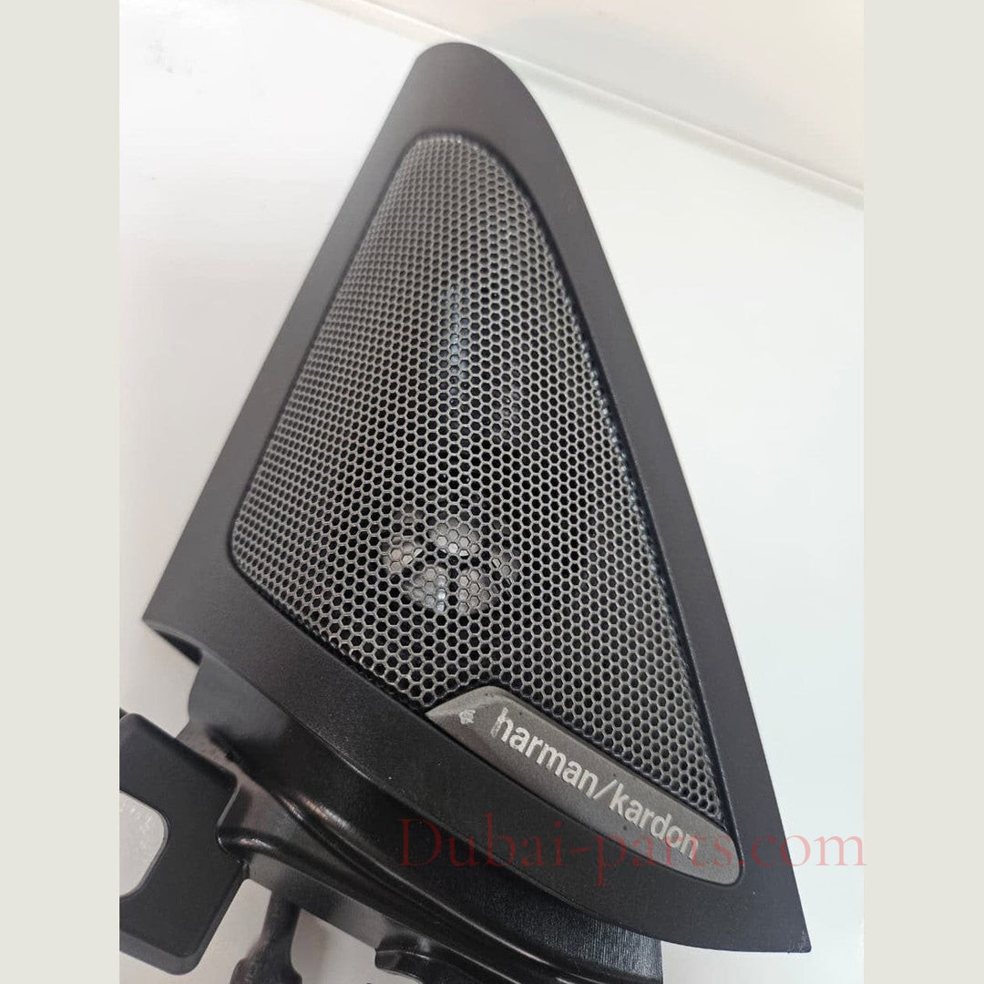 2023-2024 BMW i4 Front Door High Frequency Speaker 7945903 OEM