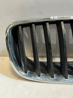 Load image into Gallery viewer, 2007-2010 BMW X5 E70 and 5 Series GT F07 Front Kidney Grille 7171396 OEM