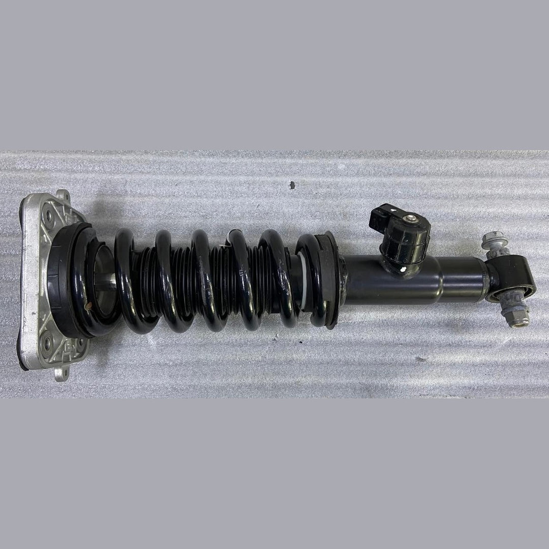 OEM BMW X5 G05 X6 G06 REAR RIGHT STRUT SHOCK ABSORBER ELECTRONIC VDC 5A45264