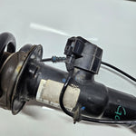 Bild in die Galerieansicht laden, 6896441-2020-2025 BMW X5 G05 X6 G06 Strut Shock Absorber Rear Left OEM