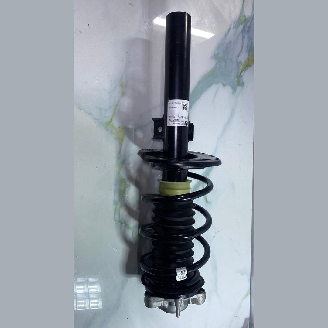 BMW Front Suspension Strut 6890943  BMW X4 G02 models FRONT LEFT
