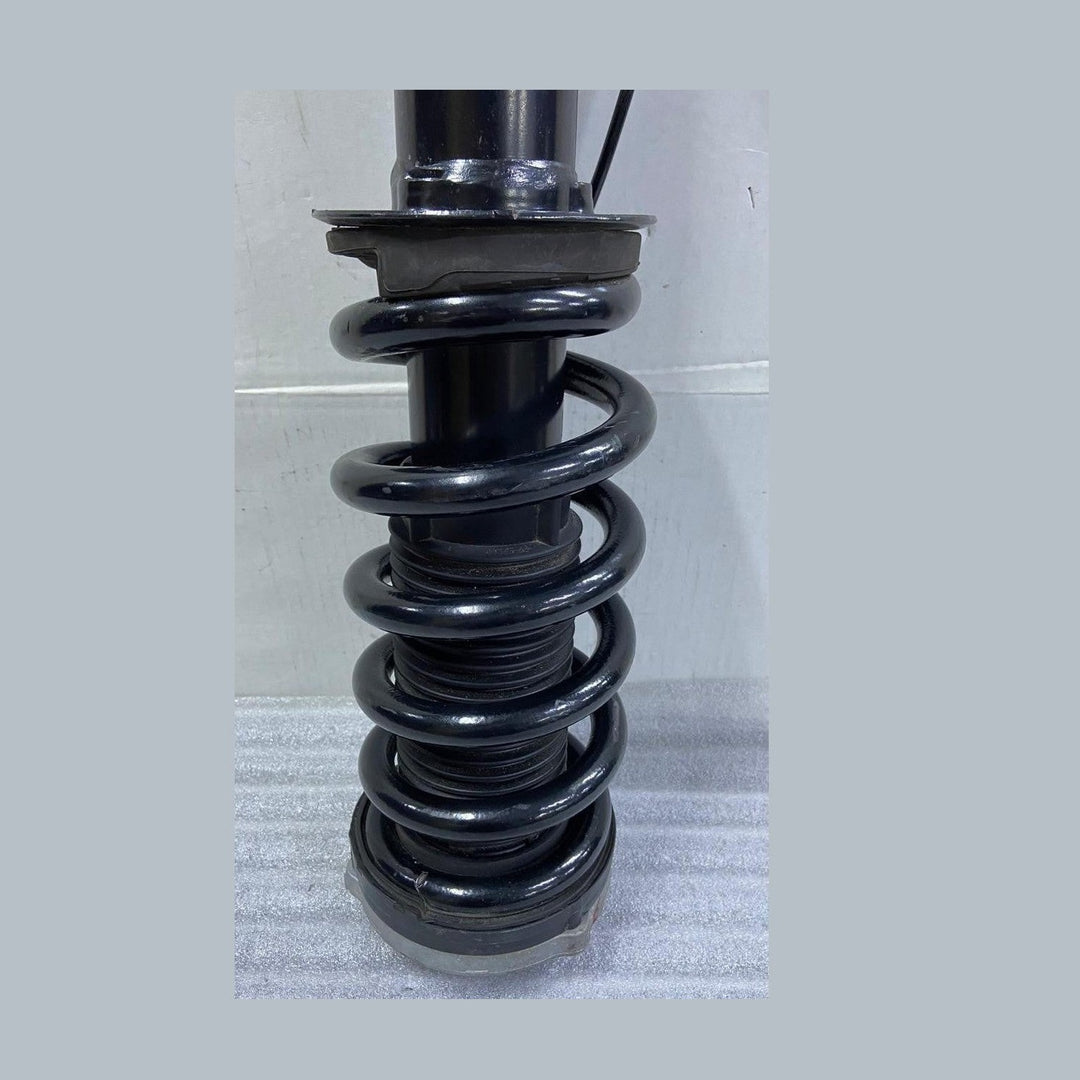 OEM BMW X5 G05 LCI X6 G06 LCI Spring Strut Front Left VDC 5A45211