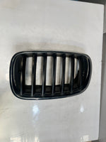Load image into Gallery viewer, 2007-2013 BMW X5 E70 Front Bumper Kidney Grille 7171395 OEM