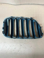 Load image into Gallery viewer, 2004-2006 BMW X5 E53 BONNET Front Grille Kidney Left 7124815 OEM