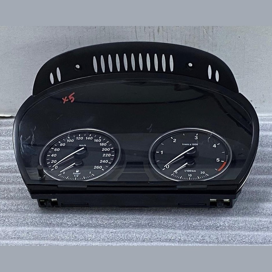 OEM BMW X5 X6 E70 E71 Instrument Cluster Gauge Speedometer 6976284