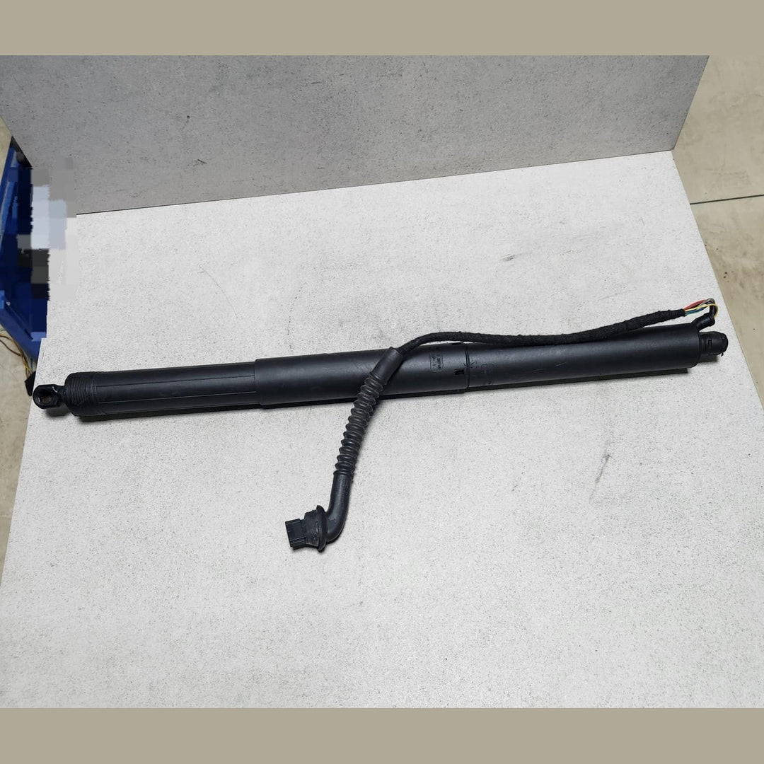 2013-2018 BMW X5 Tailgate Strut 4823279 X5 F15 F85