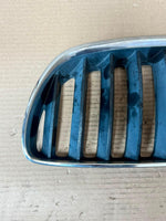 Load image into Gallery viewer, 2004-2006 BMW X5 E53 BONNET Front Grille Kidney Left 7124815 OEM