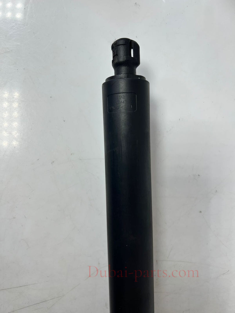 2016-2017 BMW 320i 428i, 430i, 435i, 440i F36 Tailgate Lift Strut 2586402 OEM
