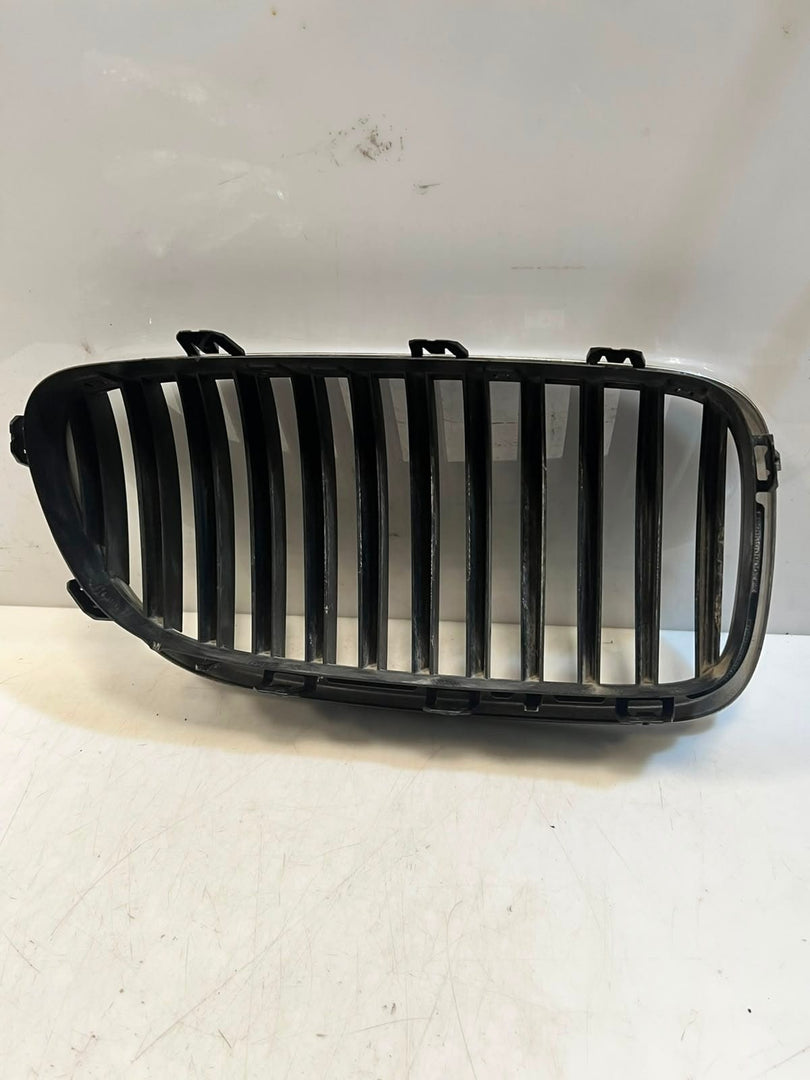 2010-2013 BMW 528i 535i 5 Series F10 F11 Front Bumper Kidney Grille 7200727