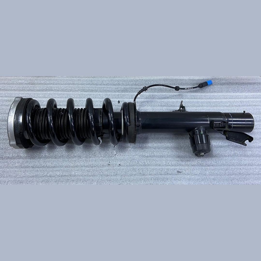 OEM BMW X5 G05 LCI X6 G06 LCI Spring Strut Front Right VDC 5A45212
