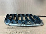 Load image into Gallery viewer, 2004-2006 BMW X5 E53 BONNET Front Grille Kidney Left 7124815 OEM