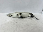 قم بتحميل الصورة إلى عارض الصور، BMW 6 Series E63 E64 Front Right SIDE Turn Indicator Light 7165806 OEM