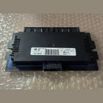 قم بتحميل الصورة إلى عارض الصور، OEM BMW X5 E70 Footwell ECU Light Control Unit Module FRM II Lear 9166667