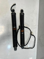 Load image into Gallery viewer, 2009 BMW 7 Series F01 F02 F03 F04 750i TAILGATE Trunk Strut Damper 7185713 OEM