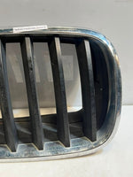 Load image into Gallery viewer, 2007-2010 BMW X5 E70 and 5 Series GT F07 Front Kidney Grille 7171396 OEM