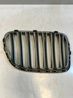 Load image into Gallery viewer, 2010-2015 BMW X1 E84 Front Kidney Grille 2993307 OEM