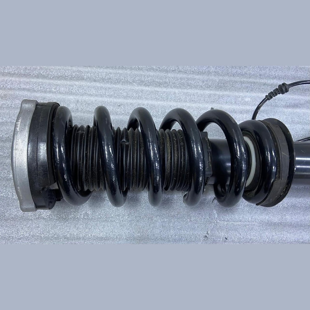 OEM BMW X5 G05 LCI X6 G06 LCI Spring Strut Front Right VDC 5A45212