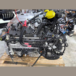 قم بتحميل الصورة إلى عارض الصور، محرك BMW N63B44D G05 X5 G07 X7 موديلات 2020 إلى 2023، سعة 5.0 لتر، ثنائي التوربو، جديد تمامًا وأصلي