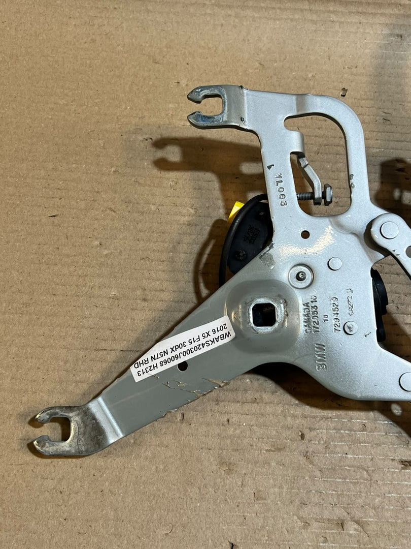 2014-2019 BMW X5 X6 F15 F16 Front Hood Hinge 7294529 OEM